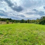 Expansive 1.2-acre south-facing pasture paddocks in gated Theobalds Park Estate, Goffs Oak, Hertfordshire, showcasing stunning London skyline vistas