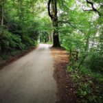 Breathtaking view from mature mixed woodland plot bordering Rudyard Reservoir, Staffordshire Moorlands – prime elevated land for glamping or lodges