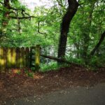 Prime lakeside woodland plot in Staffordshire Moorlands with stunning reservoir views from Reacliffe Road, Rudyard