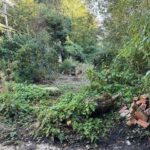 Semi-rural building plot in Grosvenor Place, Luddendenfoot HX2 6NL, with full permission for two 3-bed detached homes near Halifax