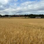 Expansive 4.6-acre Grade 2 agricultural land with direct Sowgate Lane access, ideal for crops and investment near Pontefract, West Yorkshire