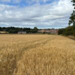 Fertile Grade 2 agricultural land near Pontefract, West Yorkshire, with direct Sowgate Lane access for investment