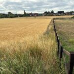Expansive 4.6-acre Grade 2 arable farmland northeast of Pontefract, West Yorkshire, with direct Sowgate Lane access for investment