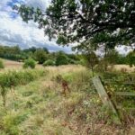 Stunning south-facing vista of London skyline from 1.2-acre gated pasture plot in Theobalds Park Estate, Goffs Oak