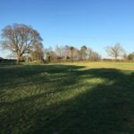 Two fenced paddocks on 3.4 acres grassland off A49 Tiverton, natural hedges, roadside access, panoramic Beeston Castle views for equestrian use