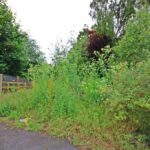 Secure gated access to 2.07-acre freehold development plot opposite Great Sankey train station, Warrington