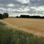 Fertile 4.6-acre farmland near Pontefract with direct Sowgate Lane access, Grade 2 soil for high-yield crops