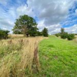 South-facing 1.2-acre pasture plot in Theobalds Park Estate with panoramic London skyline views, prime Hertfordshire investment land