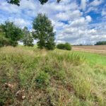 Expansive south-facing 1.2-acre pasture paddocks in gated Theobalds Park Estate, Goffs Oak, boasting stunning London skyline views for prime investment land