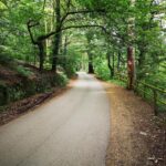 Prime 1.3-acre mixed native woodland Plot 1 in Rudyard, Staffordshire Moorlands, with stunning elevated views of Rudyard Reservoir