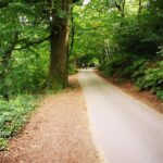 Scenic elevated mixed woodland plot bordering Rudyard Reservoir, Staffordshire Moorlands, prime for glamping or holiday lodges