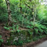Breathtaking elevated view over Rudyard Reservoir from mature mixed woodland plot in Staffordshire Moorlands, prime for tourism development