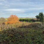 Panoramic rural views to the rear of Bateman Close land in Cudworth, Barnsley, with outline planning for two 1,000 sq ft detached homes (ref 2025/0733)